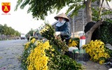 Ngày mới ở Mê Linh